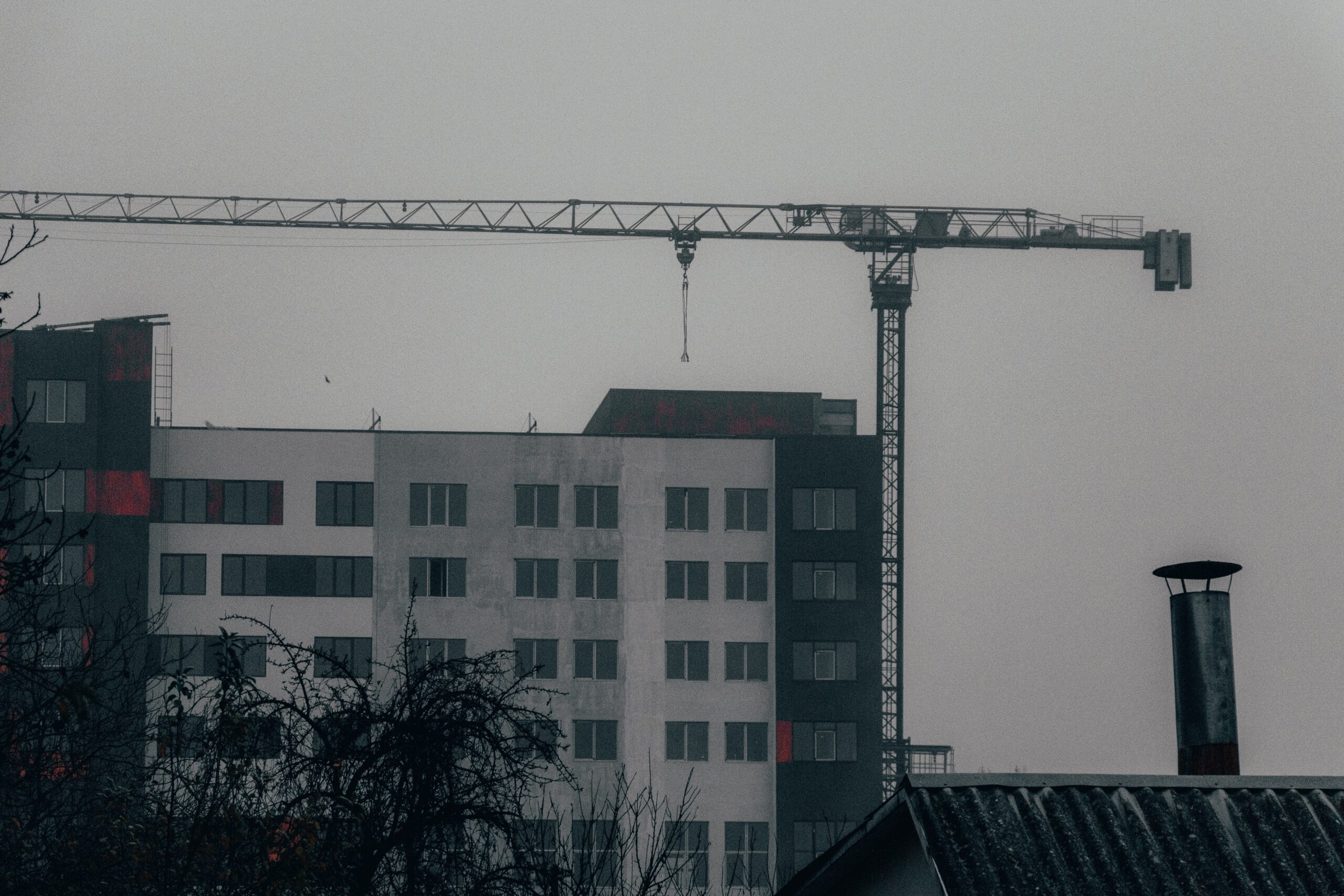 pexels-alex-8014921